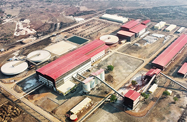 Strong Start to 2026 A Global Momentum