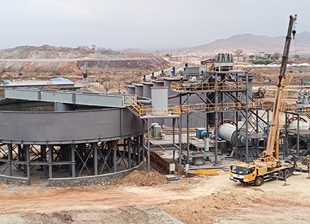 Zimbabwe 1000 t/d Gold Mine Beneficiation 
					Plant Project