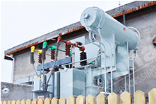 Electric power system of dressing plant