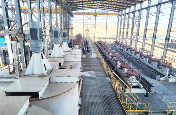 lithium-flotation-process.jpg