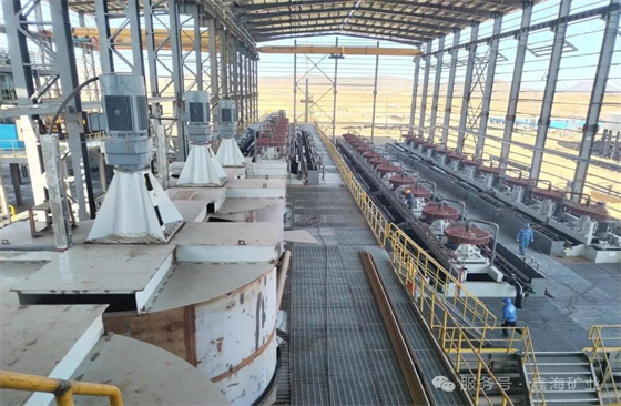Selected-Xinhai-Flotation-Projects01.jpg