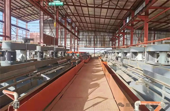 Selected-Xinhai-Flotation-Projects02.jpg