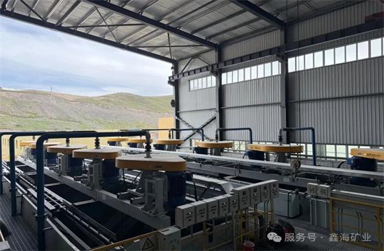 Selected-Xinhai-Flotation-Projects04.jpg