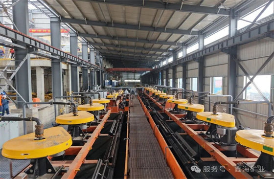Selected-Xinhai-Flotation-Projects06.jpg
