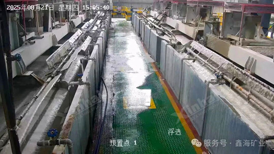 automated-flotation-control-system.jpg