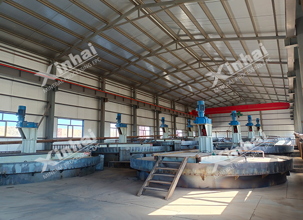 Silver and Polymetallic Mineral Processing Plant