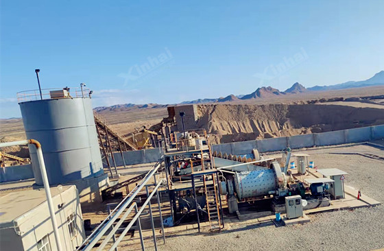 Iran 1200t/d Gold Mine Retrofit and Expansion Project