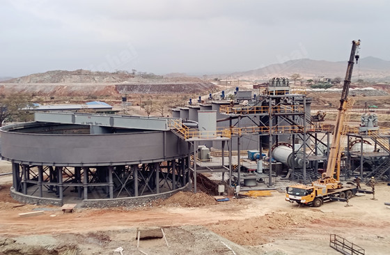 Zimbabwe 1000t/d Gold Ore Processing Plant