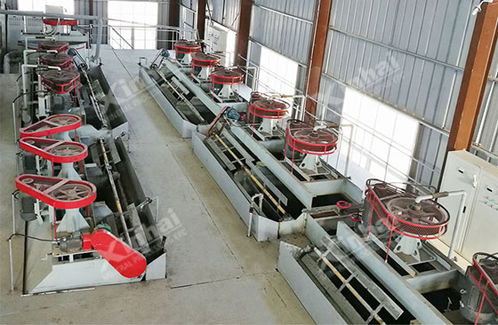 Morocco 500tpd silver flotation project