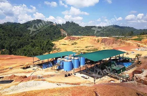 Malaysia 700tpd gold processing project