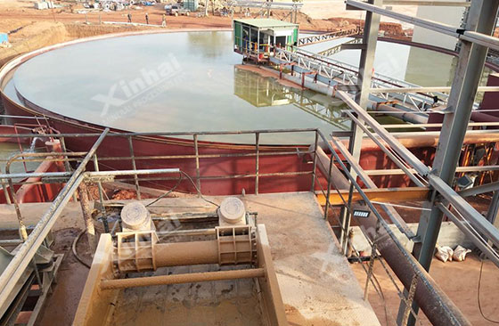 Guinea 6000tpd gold processing plant