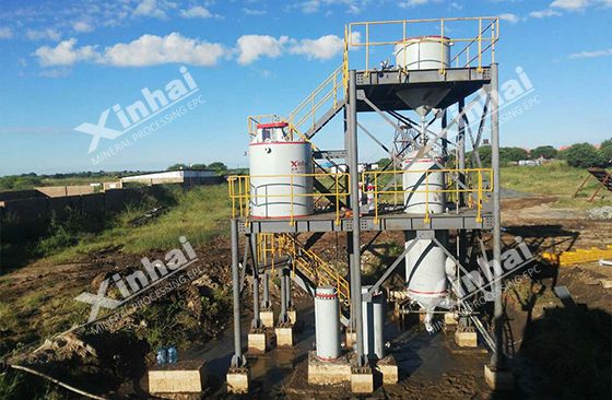 Tanzania 200tpd gold processing project