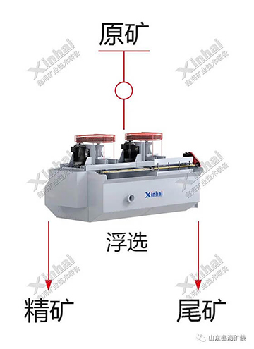 One stage grinding flotation process