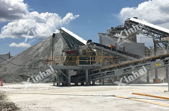 Mexico 1200tpd Gold Mine Cyanide Concentrator Project Designed by Xinhai 