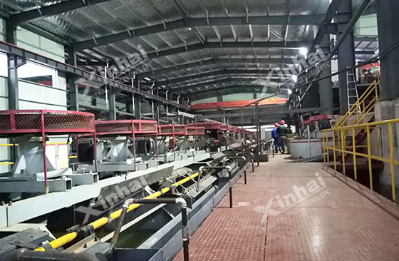 Henan 3000tpd gold concentrator project