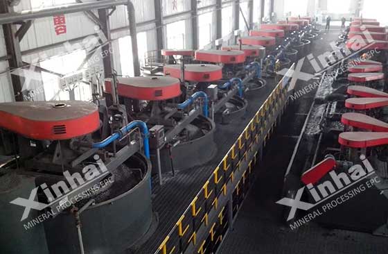 flotation cell machine from xinhai for lithium ore processing