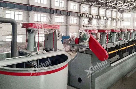 flotation cell machine made in xinhai for-mineral-processing
