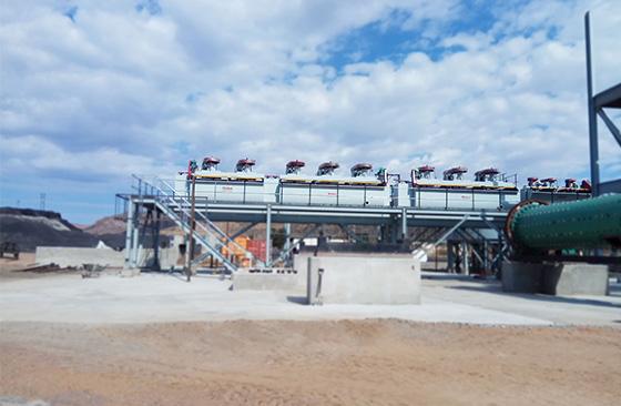 mineral flotation group in ore dressing plant