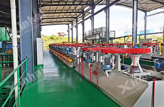 flotation separation system in ore processing plant