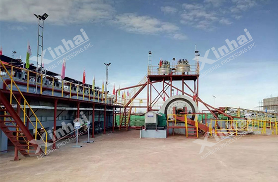 mineral processing system designed by Xinhai Mining