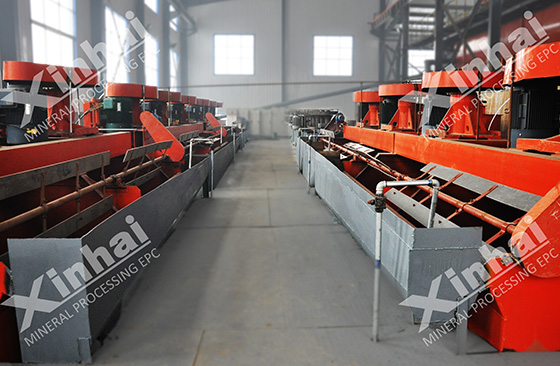 Shandong 2000tpd molybdenum ore dressing plant project