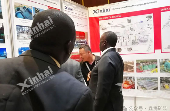 The Vice President of Zimbabwe visited the Xinhai booth