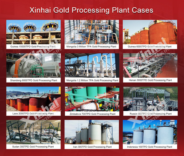 Xinhai gold processing plant cases