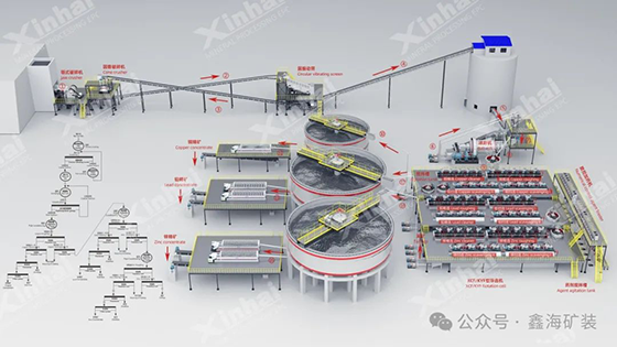 Xinhai Mining Customized Flotation Process