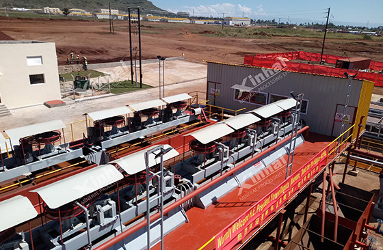 mineral flotation processing system for ore beneficiation