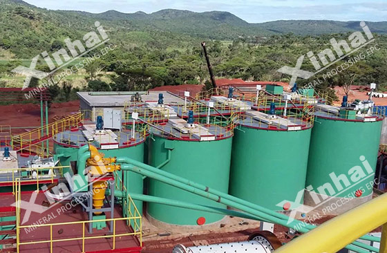 zimbabwe 700tpd gold plant project