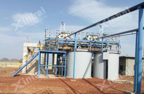 gold-cil-plant