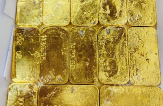 gold-ingot
