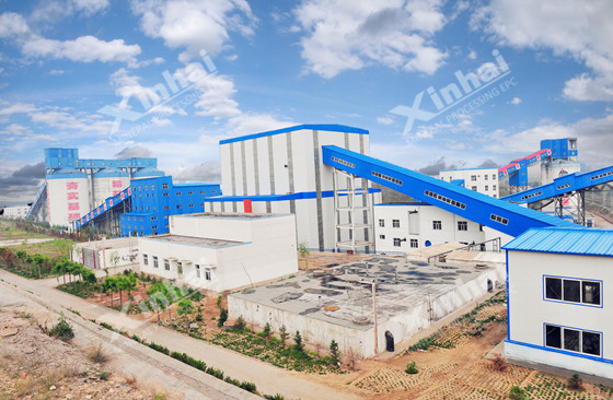 Mineral Processing Design