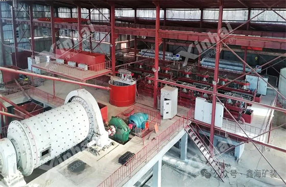 nigeria-1000tpd-copper-silver-ore-plant01.jpg