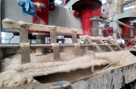 Flotation Process Selection for Medium- to Low-Grade Phosphate Ores: Mechanisms, Applications, and Engineering Practice